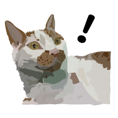 [LINEスタンプ] KIWIの日常生活
