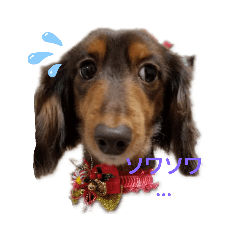 [LINEスタンプ] NICOの…