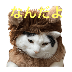 [LINEスタンプ] むぎさんと可愛い仲間達