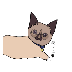 [LINEスタンプ] 猫のテトと過ごす毎日