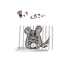 [LINEスタンプ] チンチラです