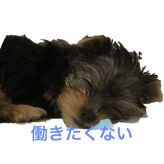 [LINEスタンプ] ネグ