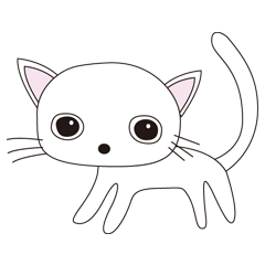 [LINEスタンプ] かわいいねこの日常会話