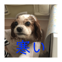 [LINEスタンプ] 我が家のめる