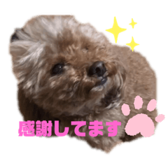 [LINEスタンプ] ナラファミリー3