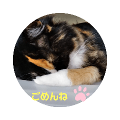 [LINEスタンプ] ねこのボウタロウすたんぷ