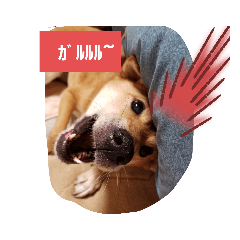 [LINEスタンプ] ハチの1日
