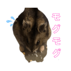 [LINEスタンプ] ペットのからし