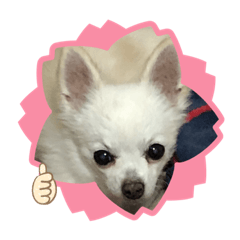 [LINEスタンプ] モカココ タウン