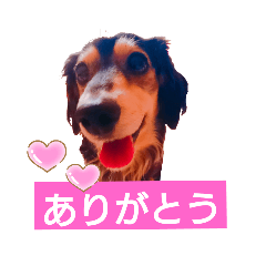 [LINEスタンプ] MOMOSUKEの日常編
