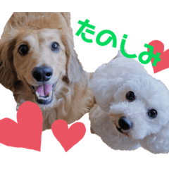 [LINEスタンプ] こむぎ＆あられVol.4