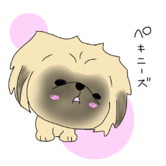 [LINEスタンプ] ペキニーズブラックマスクのちゅい