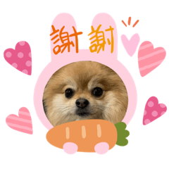 [LINEスタンプ] Roiくん(34才)