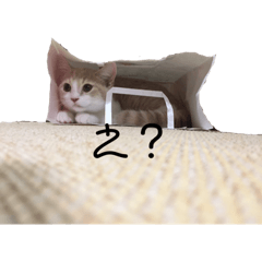 [LINEスタンプ] マルモノ2