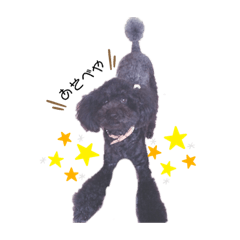 [LINEスタンプ] ころも♂2