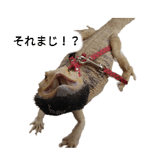 [LINEスタンプ] しゅーぼんのペット
