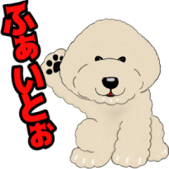 [LINEスタンプ] ビションプードル