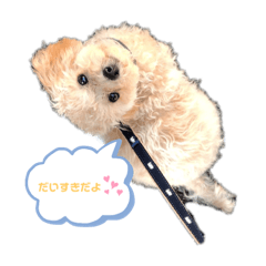 [LINEスタンプ] はまだ家のプティ君
