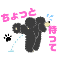 [LINEスタンプ] スタンダードプードルイケパラ