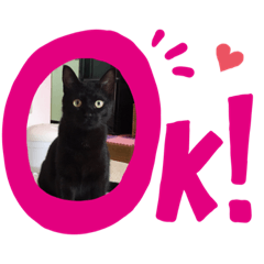 [LINEスタンプ] わたしの黒猫スタンプ2