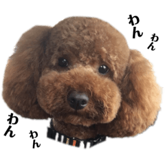 [LINEスタンプ] チップ君です