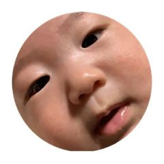 [LINEスタンプ] とーらちゃん