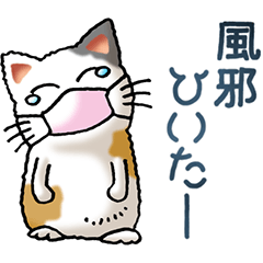 [LINEスタンプ] 猫大好き！その25三毛猫5（体調不良編）