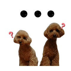 [LINEスタンプ] ヴェル・マロと一緒