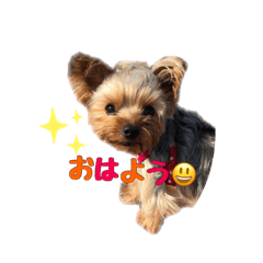[LINEスタンプ] お茶目なマロンちゃん