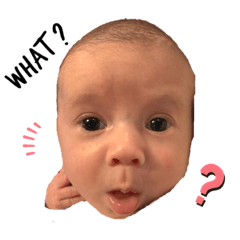 [LINEスタンプ] George ＆ Izzy part1