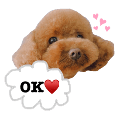 [LINEスタンプ] MUKUスタンプ♡