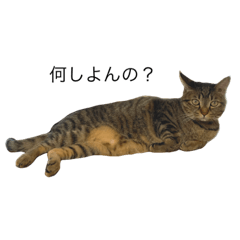 [LINEスタンプ] 小鉄と晴