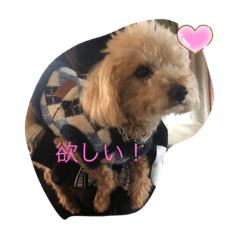 [LINEスタンプ] 心愛くんスタンプ♡②