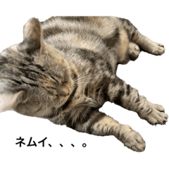 [LINEスタンプ] よもぎ様