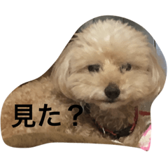 [LINEスタンプ] 心愛くんスタンプ♡