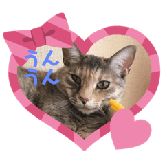 [LINEスタンプ] 幸の1day