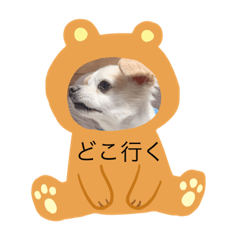 [LINEスタンプ] シンちゃんと会話