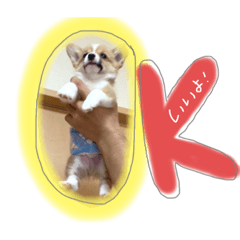 [LINEスタンプ] チロルくん☆