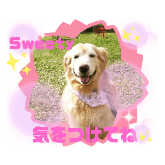 [LINEスタンプ] ぽんきちさんの2