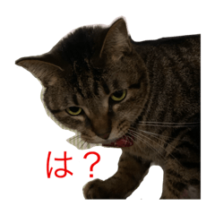 [LINEスタンプ] ラミ・ナナ・ミウ