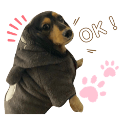 [LINEスタンプ] ひまわり時々餅