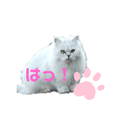 [LINEスタンプ] 試しでつくってみました