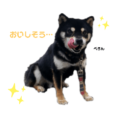 [LINEスタンプ] モズ第1弾