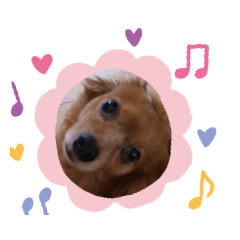 [LINEスタンプ] lovely ash