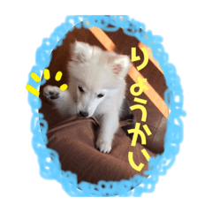 [LINEスタンプ] スピッツ 音ちゃん ver2