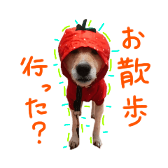 [LINEスタンプ] うちのこきなこ。2