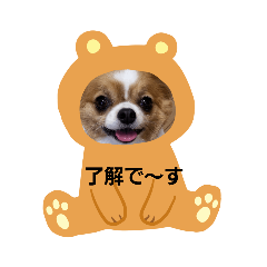 [LINEスタンプ] maron   family