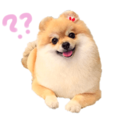 [LINEスタンプ] coco.01