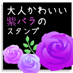 [LINEスタンプ] 大人可愛い紫バラのスタンプ