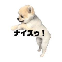 [LINEスタンプ] 桃ノ介2